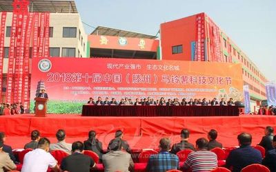 2018第十届中国（滕州）马铃薯科技文化节 文化与科技的盛宴